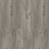 Сибирски дъб