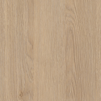 Пясъчен дъб