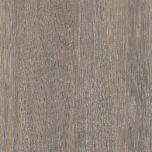 Дъб Лоренцо