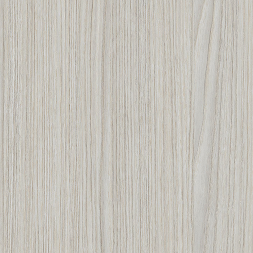 Дъб Салвадор избелен