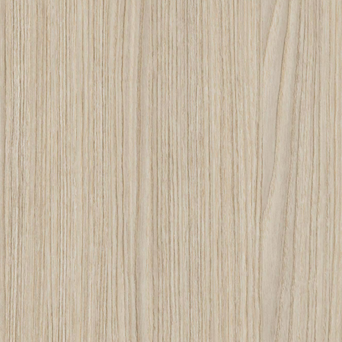 Дъб Салвадор светъл