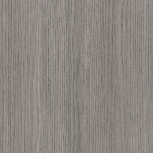 Дъб Виченца сив