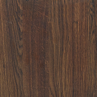 Пурпурен дъб